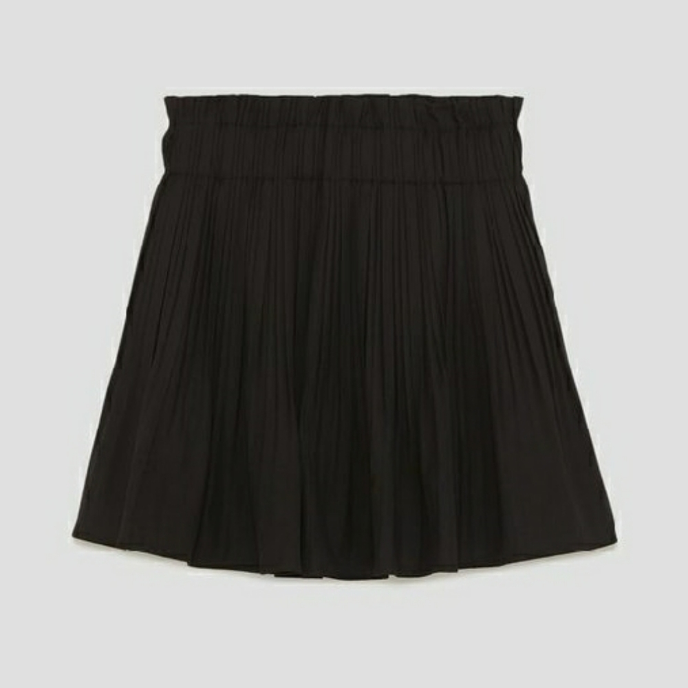 Zara Pleated Skirt